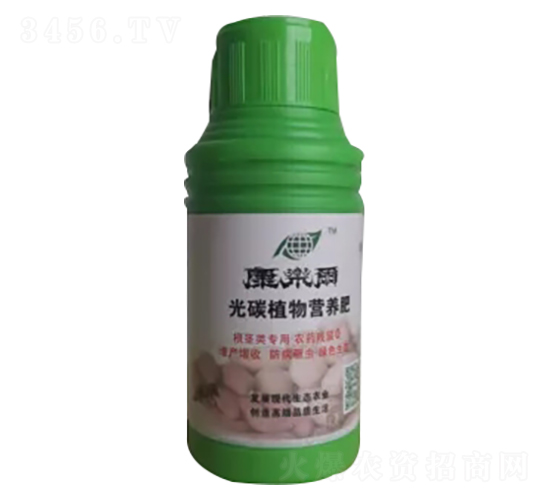 康樂(lè)爾根莖類(lèi)-康樂(lè)爾
