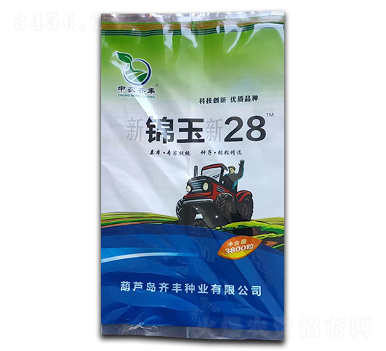 新錦玉新28-玉米種子-中科正高