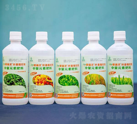 è‘‰é¢é˜»æŽ§åŠ‘-é™éŽ˜éˆ-ä»•å®