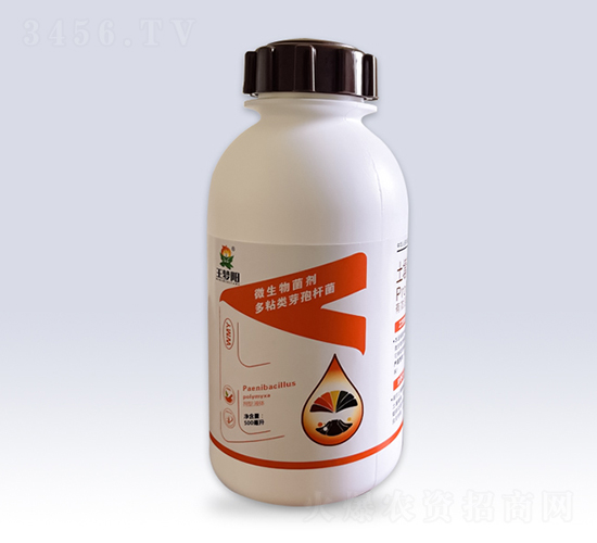 微生物菌劑多粘類芽孢桿菌-王夢陽-文隆夢陽