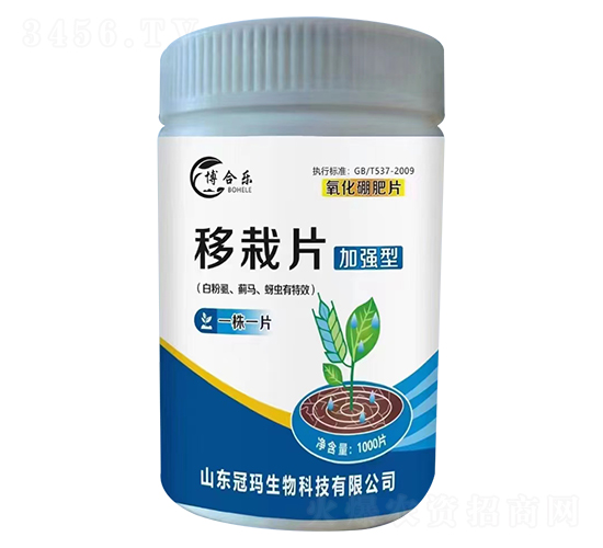 移栽片（白粉虱、薊馬、蚜蟲有效）-博合樂-冠瑪生物