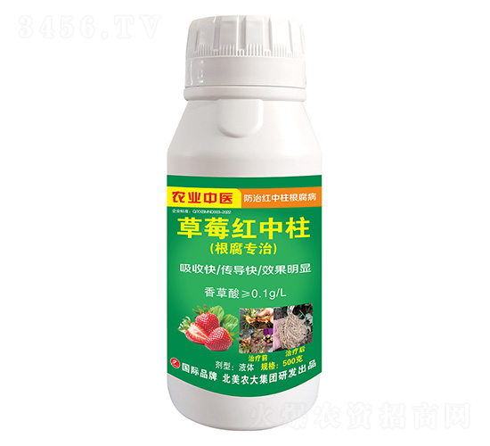 草莓紅中柱-北美農(nóng)大