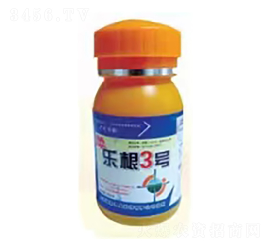樂(lè)根3號(hào)-穎柔