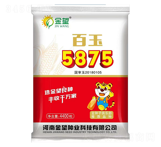 百玉5875-玉米種子-金望種業(yè)