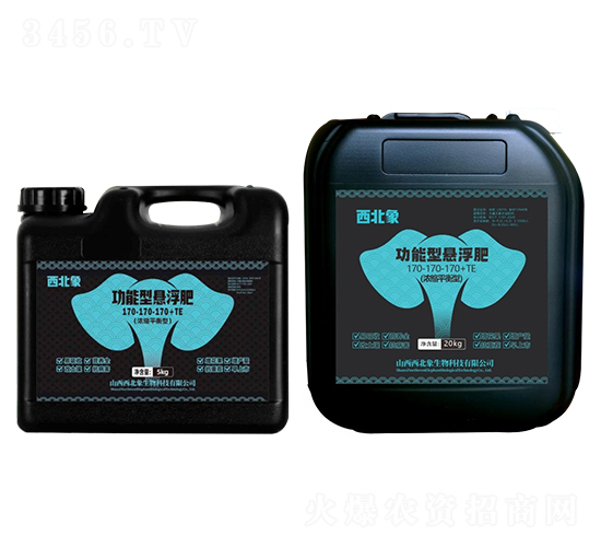 å¹³è¡¡åž‹åŠŸèƒ½æ‡¸æµ®è‚¥170-170-170+TE-è¥¿åŒ—è±¡