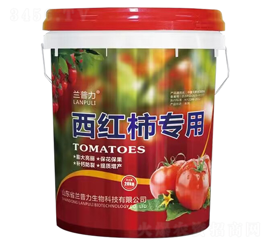 è¥¿ç´…æŸ¿å°ˆç”¨-è˜­æ™®åŠ›