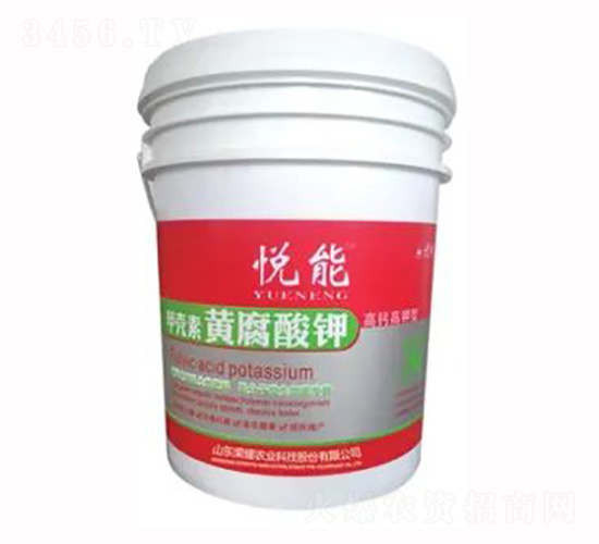 æ‚…èƒ½ç”²æ®¼ç´ é»ƒè…é…¸é‰€-æ¦®è€€è¾²(nÃ³ng)æ¥­(yÃ¨)