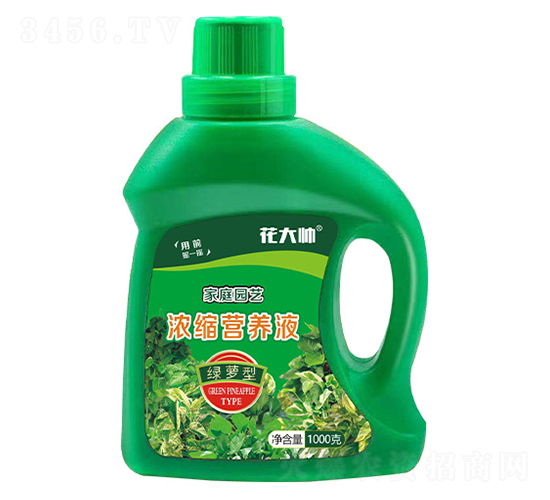 綠蘿型濃縮營養(yǎng)液-花大帥-綠沃肥業(yè)