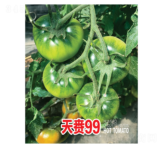 å¤©è³š99-å¿ è¾²(nÃ³ng)å¤å‰µ(chuÃ ng)
