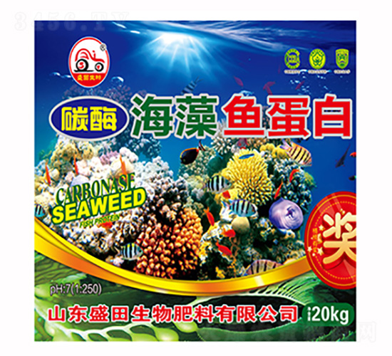 ç¢³é…¶æµ·è—»é­šè›‹ç™½-ç››ç”°ç”Ÿç‰©
