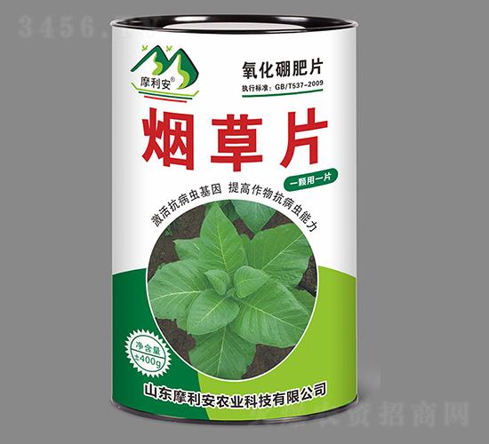 煙草片-摩利安