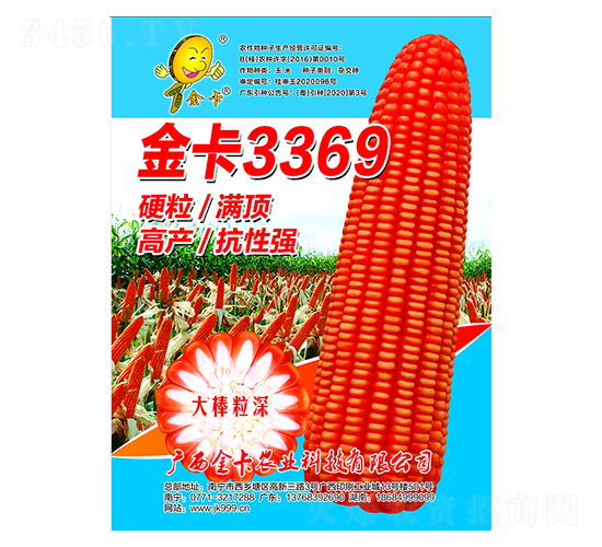 金卡3369-玉米種子-金卡農(nóng)業(yè)