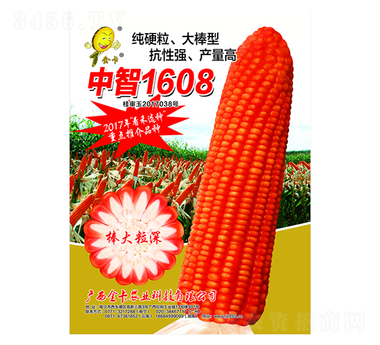 ä¸­æ™º1608-çŽ‰ç±³ç¨®å­-é‡‘å¡è¾²(nÃ³ng)æ¥­(yÃ¨)