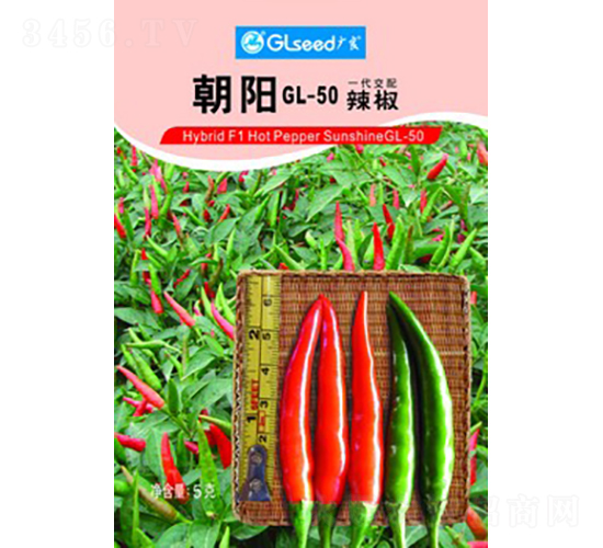 朝陽GL-50辣椒-辣椒種子-廣良