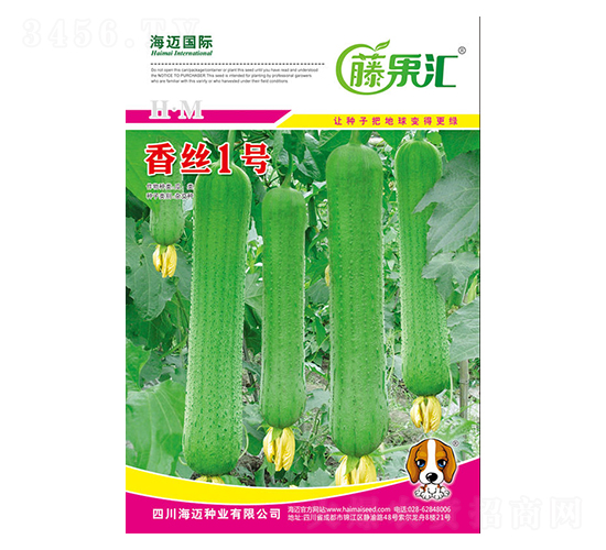 é¦™çµ²1è™Ÿ-çµ²ç“œç¨®å­-è—¤æžœåŒ¯-æµ·é‚åœ‹éš›