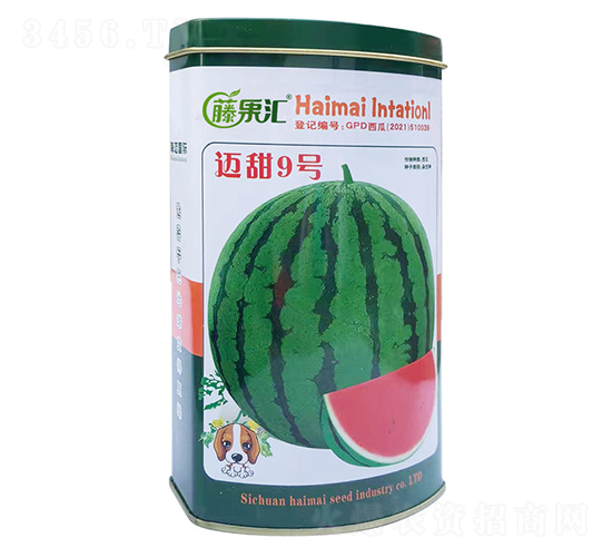 é‚ç”œ9è™Ÿ(hÃ o)-è¥¿ç“œç¨®å­-è—¤æžœåŒ¯-æµ·é‚åœ‹éš›