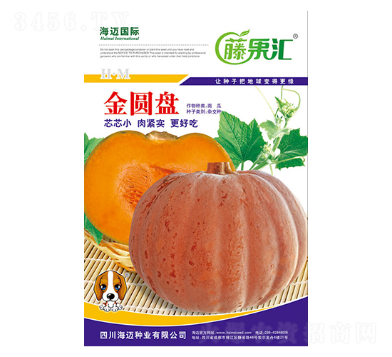 金圓盤-南瓜種子-藤果匯-海邁國際
