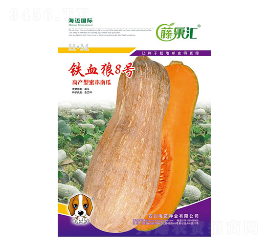 éµè¡€ç‹¼8è™Ÿ-å—ç“œç¨®å­-è—¤æžœåŒ¯-æµ·é‚åœ‹éš›