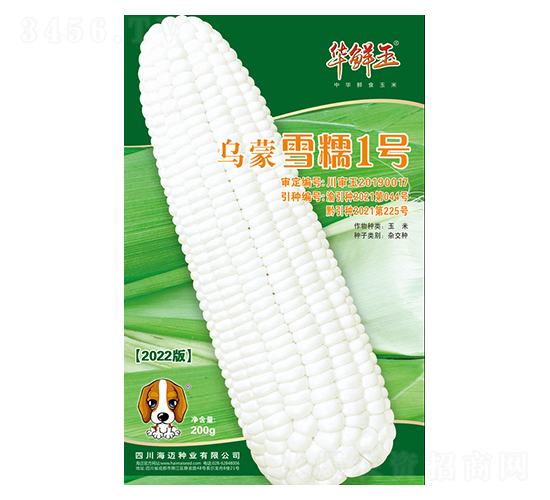 烏蒙雪糯1號(hào)-玉米種子-華鮮玉-海邁國(guó)際
