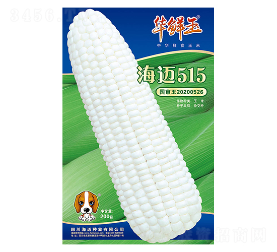 海邁515-玉米種子-華鮮玉-海邁國際