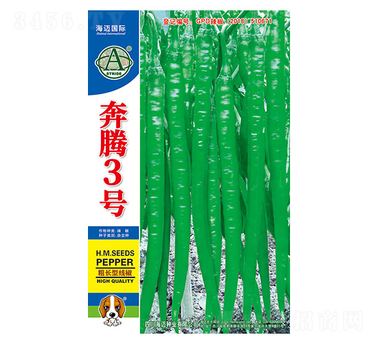 å¥”é¨°3è™Ÿ-è¾£æ¤’ç¨®å­-æµ·é‚åœ‹éš›