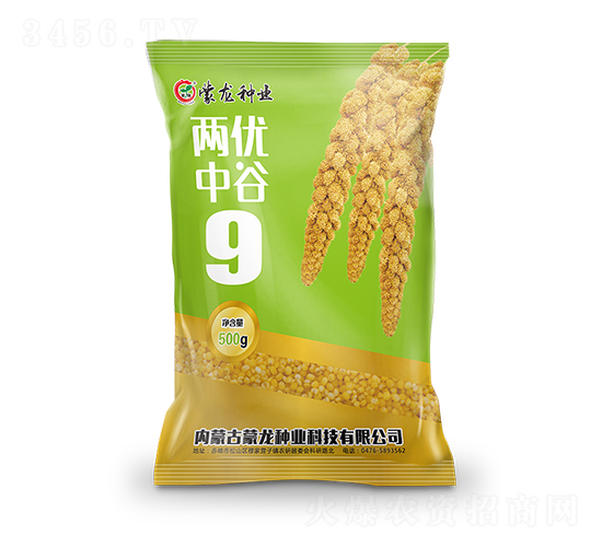 兩優(yōu)中谷9-谷子種子-蒙龍種業(yè)
