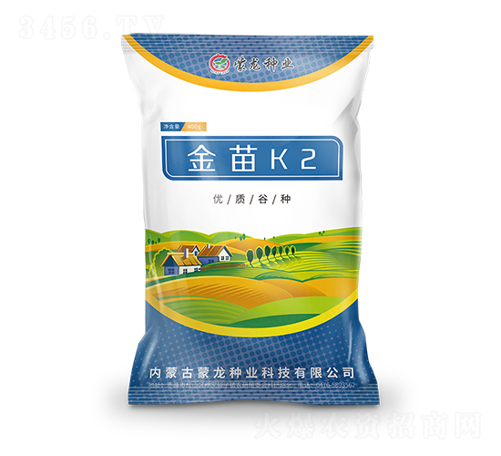 金苗K2-谷子種子-蒙龍種業(yè)