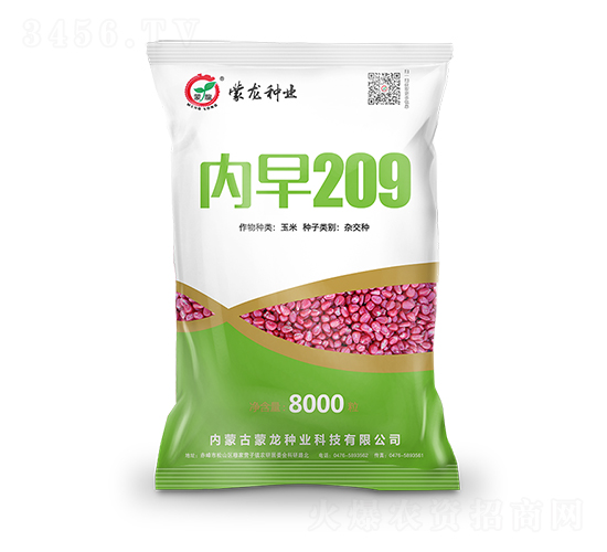 內早209-玉米種子-蒙龍種業(yè)