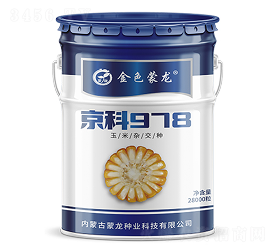 京科978（28000粒）-玉米種子-蒙龍種業(yè)