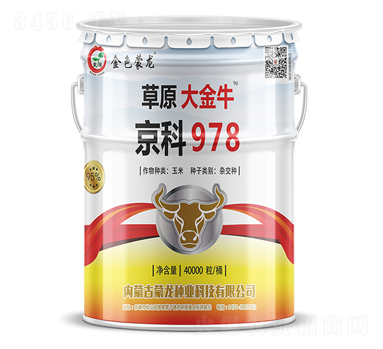 京科978（40000粒）-玉米種子-蒙龍種業(yè)