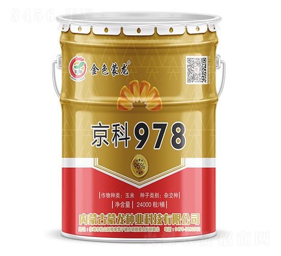 京科978（桶）-玉米種子-蒙龍種業(yè)