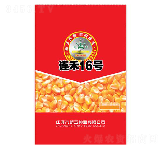 連禾16號-玉米種子-新玉種業(yè)