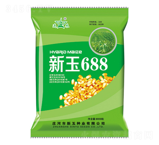 新玉688-玉米種子-新玉種業(yè)