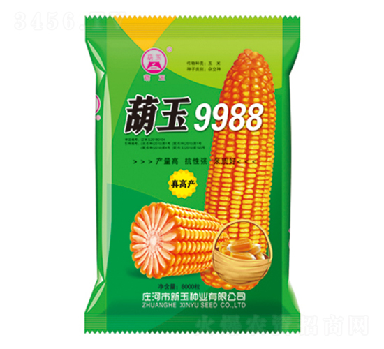 葫玉9988-玉米種子-新玉種業(yè)