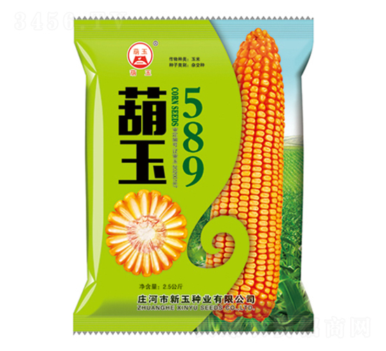 葫玉589-玉米種子-新玉種業(yè)