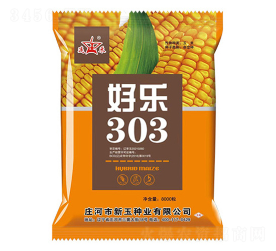 好樂303-玉米種子-新玉種業(yè)