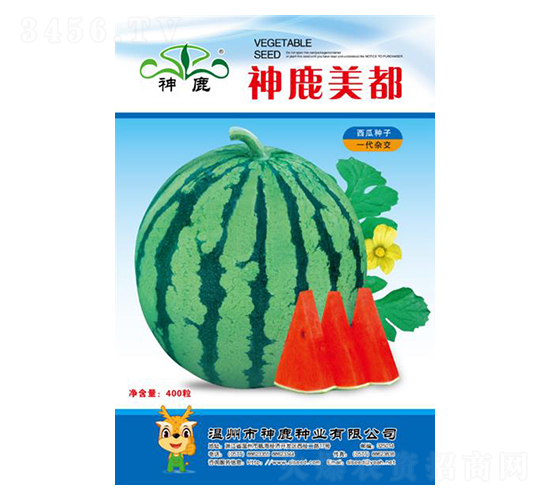 神鹿美都西瓜種子-神鹿種業(yè)