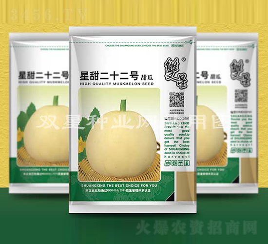 星甜二十二號-甜瓜種子-雙星種業(yè)