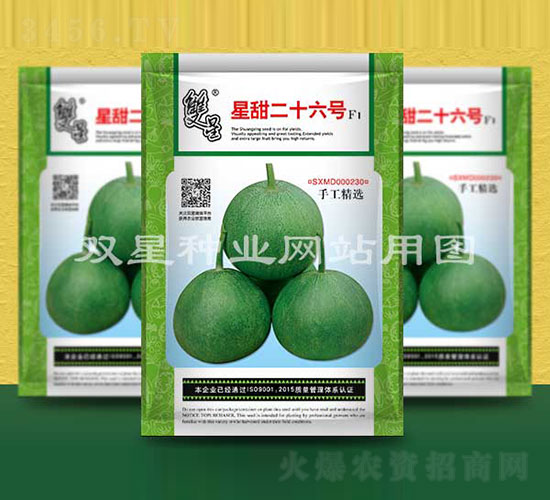 星甜二十六號(hào)-甜瓜種子-雙星種業(yè)