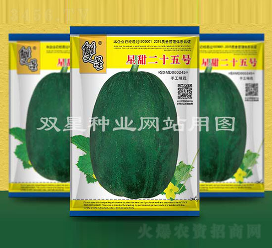 星甜二十五號-甜瓜種子-雙星種業(yè)