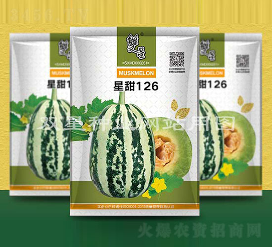 星甜126-甜瓜種子-雙星種業(yè)