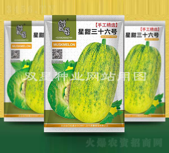 星甜三十六號(hào)-甜瓜種子-雙星種業(yè)