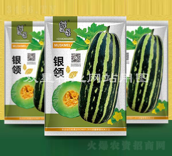 銀領(lǐng)-甜瓜種子-雙星種業(yè)