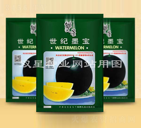 世紀(jì)墨寶-西瓜種子-雙星種業(yè)