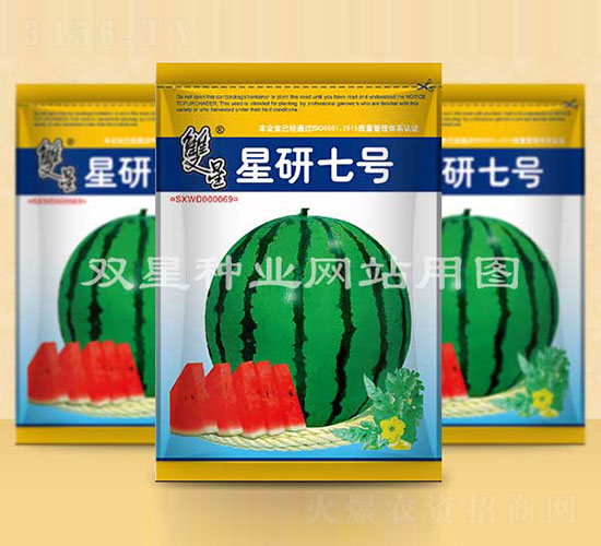 星研七號(hào)-西瓜種子-雙星種業(yè)