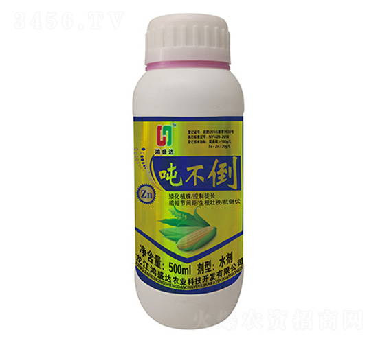 噸不倒-鴻盛達