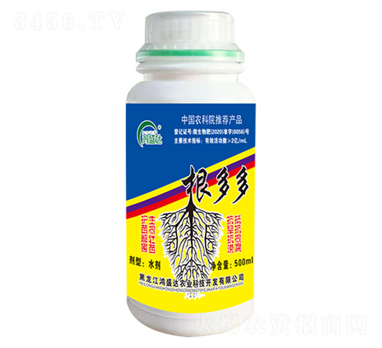 æ ¹å¤šå¤š-é´»ç››é”