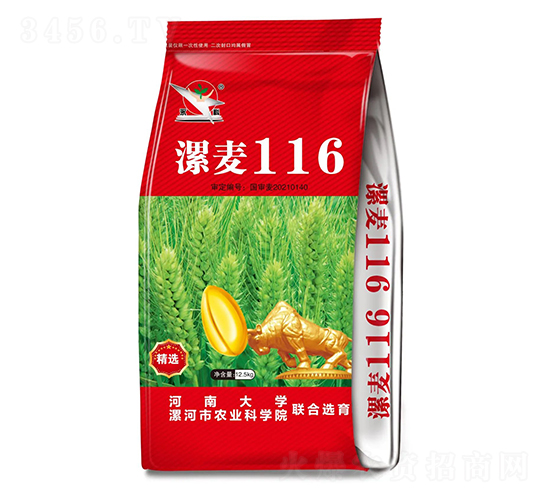 漯麥116（12.5kg）-小麥種子-愛農華種業(yè)