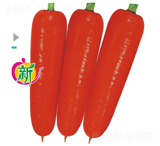 å¯¶å† F1ç§‹å¥‡29-2èƒ¡è˜¿åœ-èƒ¡è˜¿åœç¨®å­-å»£è‰¯