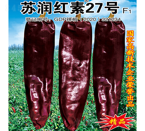 蘇潤紅素27號-辣椒種子-蘇潤種業(yè)